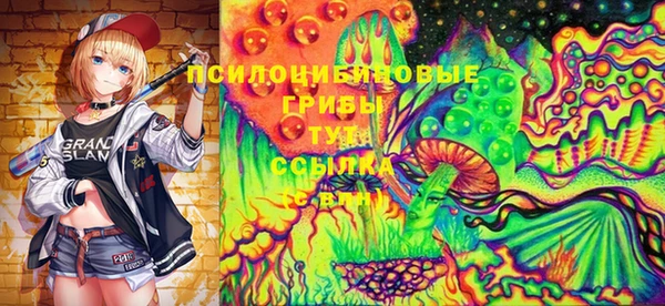 прущие крисы Лабытнанги