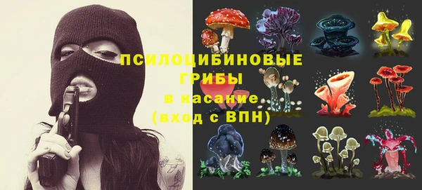 прущие крисы Лабытнанги
