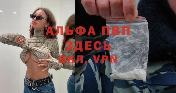 прущие крисы Лабытнанги