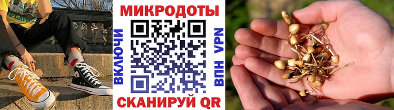 Галлюциногенные грибы Psilocybine cubensis  Харабали 